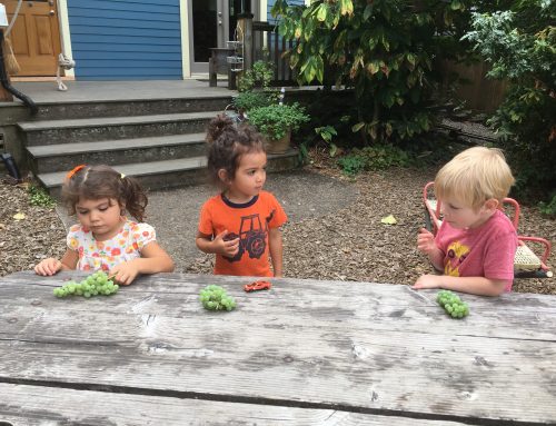 First week of the new school year